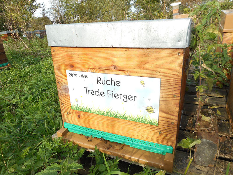 La ruche Trade Fierger